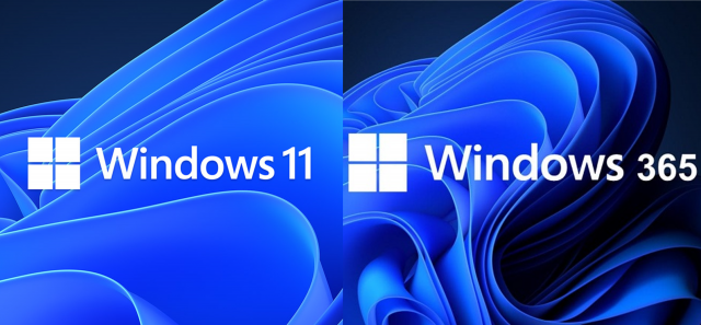 Windows 11 o Windows 365. ¿Cuál es la mejor opción para mi empresa?